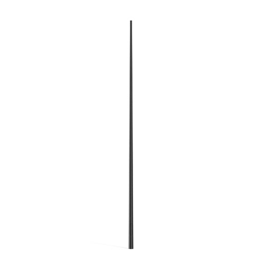 RZB - Lichtmast Leuchtenmast 611902.0031 D168 H9200d76Eingrab