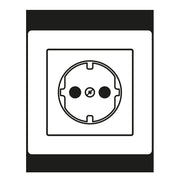 Jung - Abdeckung/Bedienelement für Installationsschalterprogramme Zentralplatte AS 1520 PL f. SCHUKO-Steckdose