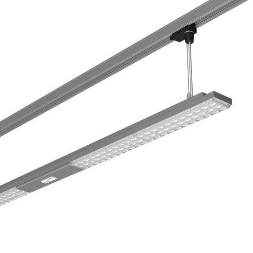 LTS Licht&Leuchten - Pendelleuchte LED-Pendelleuchte LUZP1510683060ORGRsi 830, DALI