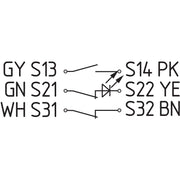 Schmersal - Induktiver Näherungsschalter Sicherheits-Sensor BNS 40S-12Z 10,0M