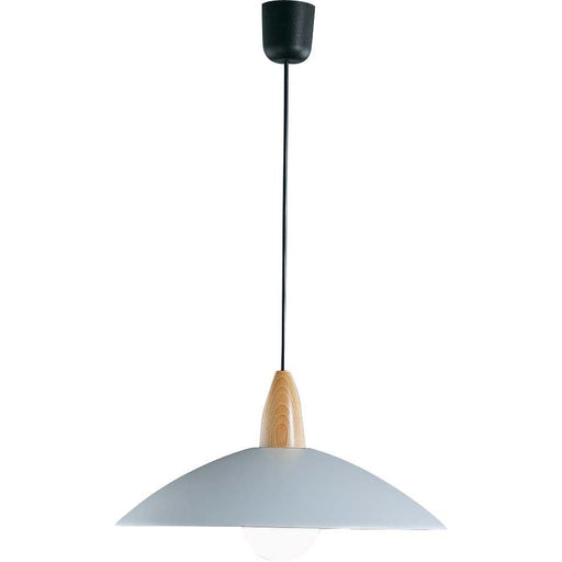 Böhmer - Pendelleuchte 21051 si G95 100W ti-si-bu