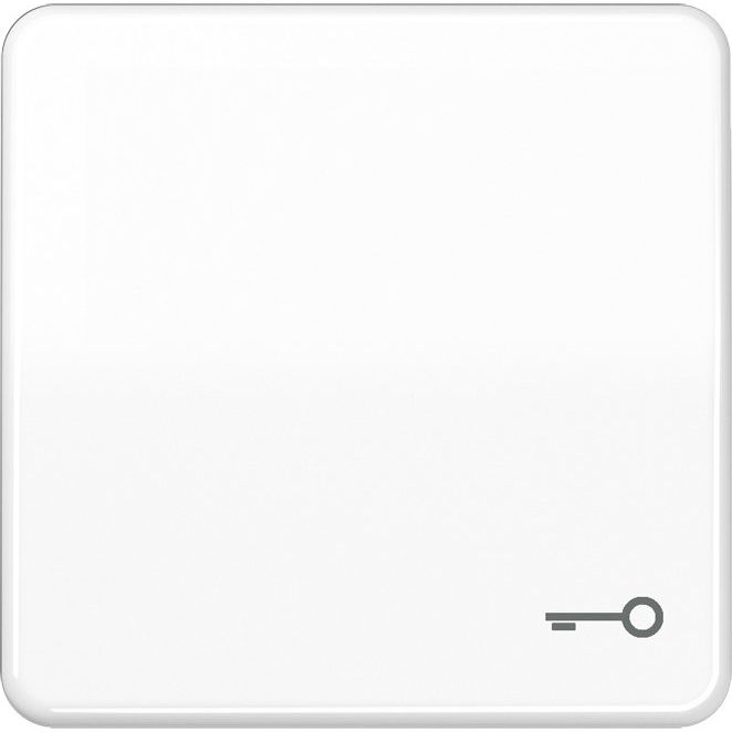 Jung - Abdeckung/Bedienelement für Installationsschalterprogramme Wippe Symbol TÜR aws CD 590 BFT WW für Taster