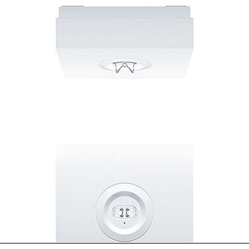 Zumtobel Group - Sicherheitsleuchte Sicherheitsleuchte RESCLITE P #42930503