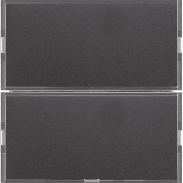 Berker - Bussystem-Tastsensor Tastsensor 2f. anth/alu 80162785