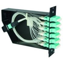 Telegärtner - Patchpanel LWL FanOut-Modul 6xLC-Quad MM 100022408 türkis OM3
