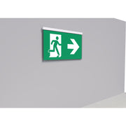 RP-Technik - Sicherheitsleuchte LED-Rettungszeichenleuchte AGR401WL EB 1h, Wireless