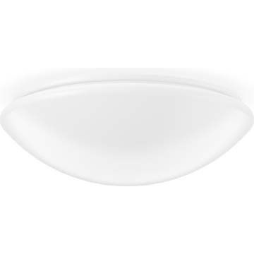RZB - Sicherheitsleuchte LED-Wand-u. Deckenleuchte 672425.002.6 840, ZB, ws