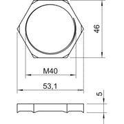 OBO Bettermann - Gegenmutter für Kabelverschraubung Gegenmutter 169 MSS M40 M40x1,5, CuZn, N − 25 Stück