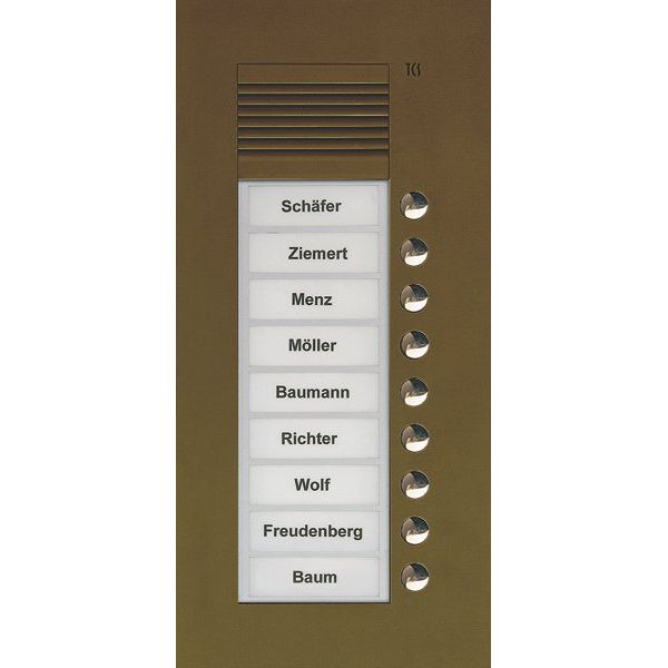TCS Tür Control - Türstation für Türkommunikation Audio Außenstation PUK 9 PUK09/1-EB Tasten 1spaltig UP b