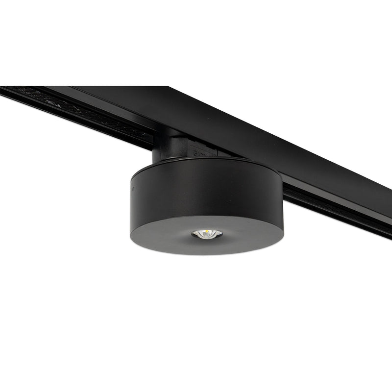 RP-Technik - Sicherheitsleuchte ILDL421WL-SW-3P EB 1h, sw