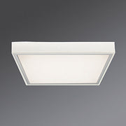 Regiolux - Decken-/Wandleuchte LED-Anbauleuchte protect #62000016613 4000K DALI