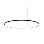 Brumberg Leuchten - Pendelleuchte LED-Pendel-Ringleuchte 84034183MT 3000K, Matter