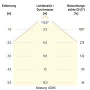 EVN Lichttechnik - Decken-/Wandleuchte LED-Pendelleuchte RPT600125 CCT Switch