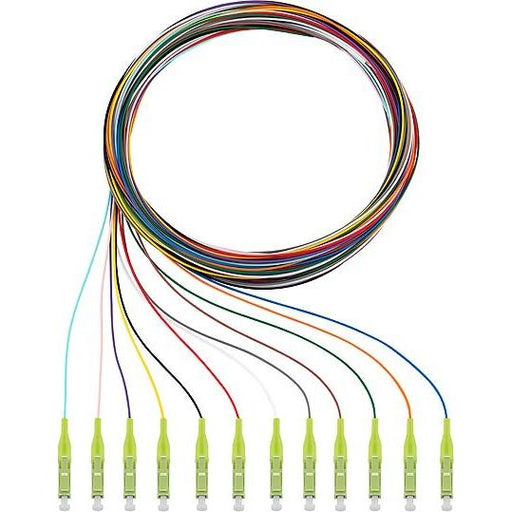 Rutenbeck - LWL-Pigtail Pigtails 12xLC OM5 2m OM5, 2m