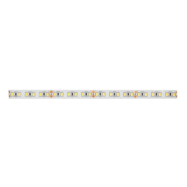 Brumberg Leuchten - Lichtschlauch/-band LED-Flexband 5000mm 15206003 24V 3100K IP00