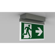 RP-Technik - Sicherheitsleuchte LED-Rettungszeichenleuchte AMD009-E ZB, Edelstahloptik