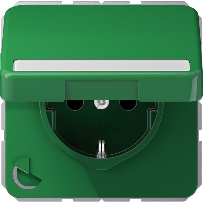 Jung - Steckdose SCHUKO-Steckdose 16A 250V CD 1520 BFNAKL GN Klappdeckel