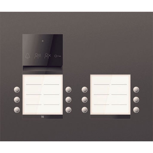 TCS Tür Control - Türstation für Türkommunikation PES PRO Audio Außenstat. ASU600412-0017 12T/2 UP R7016