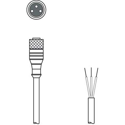 Leuze - Konfektioniertes Sensor-Aktor-Kabel Anschlussleitung KD U-M8-3A-P1-100-DP