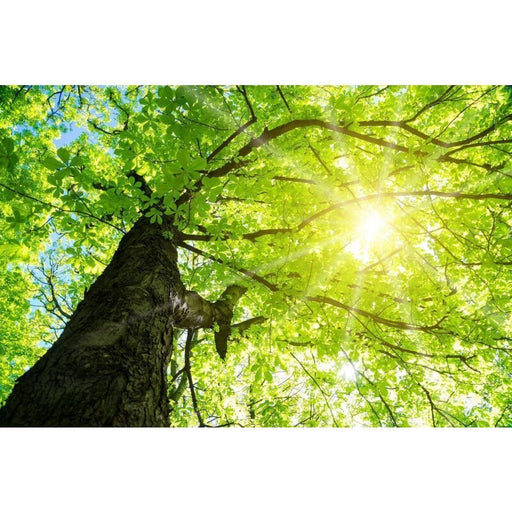 Dotlux - Lichttechnisches Zubehör/Ersatzteile für Leuchten Motivplatte SKYLIGHT M01-01010620 1 Rastermodul