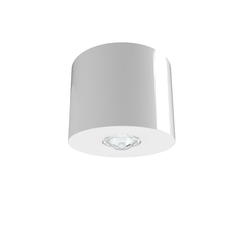 RP-Technik - Sicherheitsleuchte IADL529CC