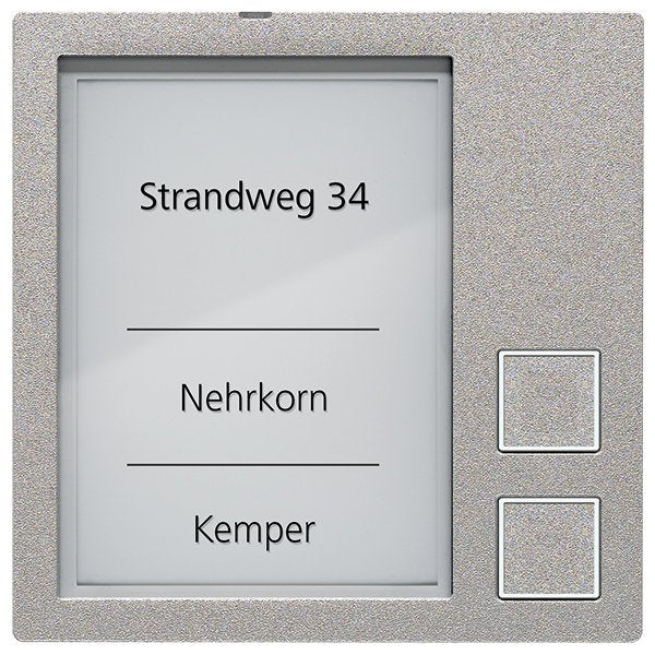 TCS Tür Control - Funktionsmodul für Türkommunikation Klingeltastenmodul AMI10912-0010 2-Tasten EN