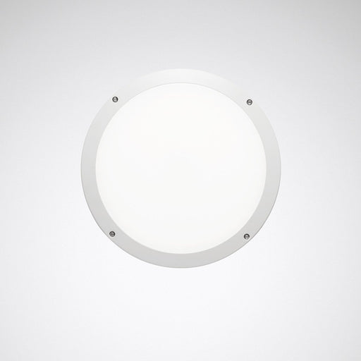 Trilux - Decken-/Wandleuchte LED-Wand-/Deckenleuchte Skeo Circ M #7578051 DALI
