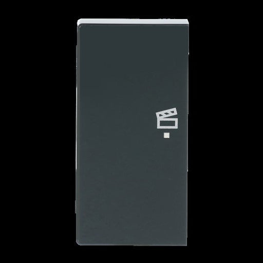 Busch-Jaeger - Bussystem-Tastwippe Wippe 2-f li Symbol Szene 6233-21-81 anthrazit