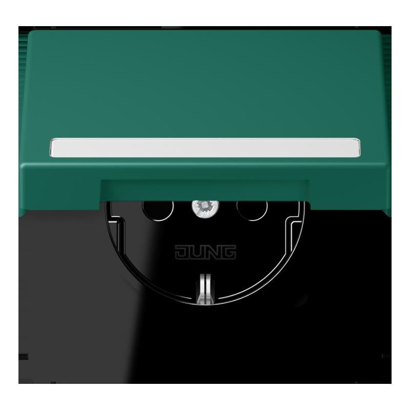 Jung - Steckdose SCHUKO Steckdose LC 1520 BFNAKL 216 vert anglais (32040)