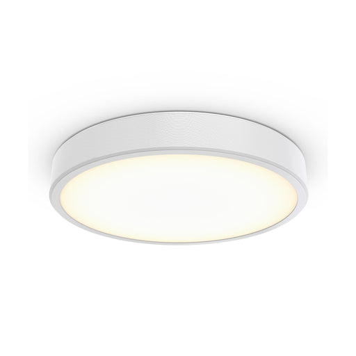 Philips Lighting - Decken-/Wandleuchte 3D-LED-Leuchte TCBRLS 46S #86384200 930