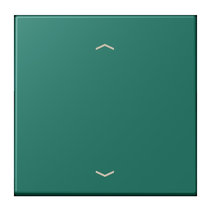 Jung - Abdeckung/Bedienelement für Installationsschalterprogramme Wippe mit Pfeilsymbolen LC 101P 216 vert anglais