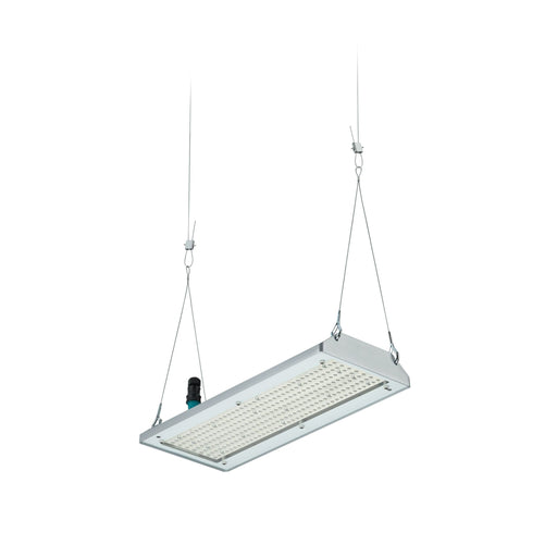 Philips Lighting - Hallen-Reflektorleuchte LED-Hallenleuchte BY580P 130 #59434000 4000K, DIA