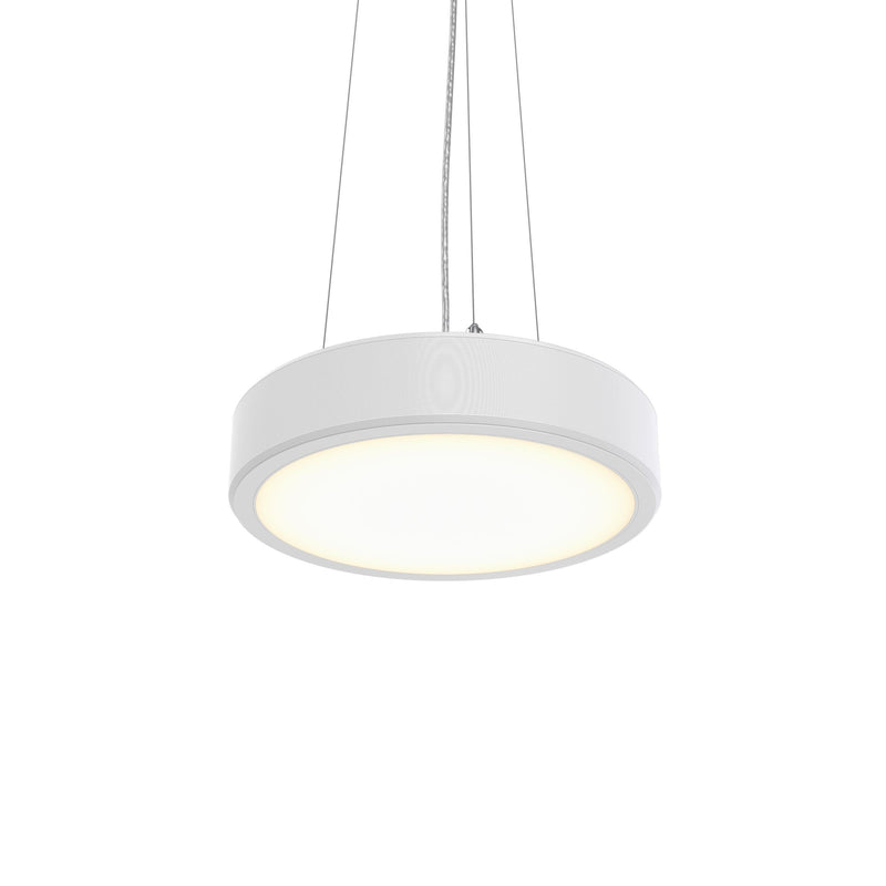 Philips Lighting - Pendelleuchte 3D-LED-Leuchte TCBRMP 19S #86391000 940