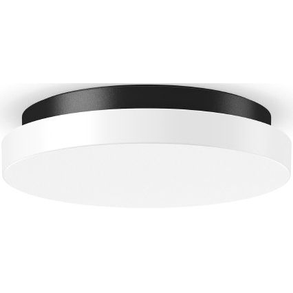 RZB - Decken-/Wandleuchte LED-Wand u.Deckenleuchte 312635.0031.76 830/840 ML DALI ant