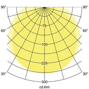 Brumberg Leuchten - Decken-/Wandleuchte LED-Feuchtraumleuchte 78913114 4000K