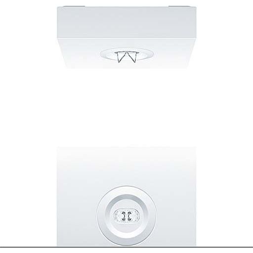 Zumtobel Group - Sicherheitsleuchte Sicherheitsleuchte RESCLITE P #42185718