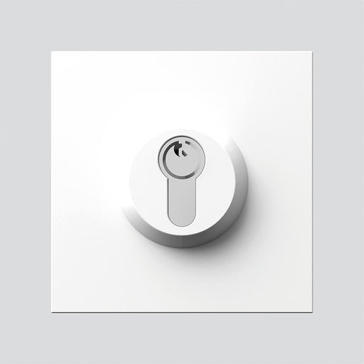 Siedle&Söhne - Funktionsmodul für Türkommunikation Schloss-Modul SM 611-01 W weiss