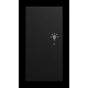 Busch-Jaeger - Bussystem-Tastwippe Wippe 2-fach 6231-21-915 links, mit Symbol