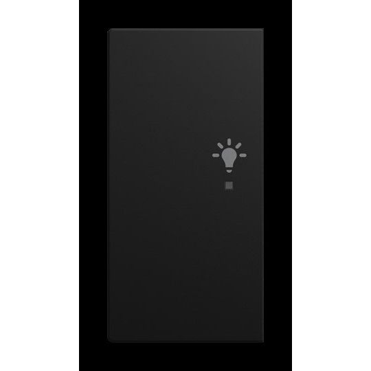 Busch-Jaeger - Bussystem-Tastwippe Wippe 2-fach 6231-21-915 links, mit Symbol