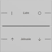 Gira - Bussystem-Tastwippe Wippenset 2-fach indiv. 5762015 Tastsensor Grau