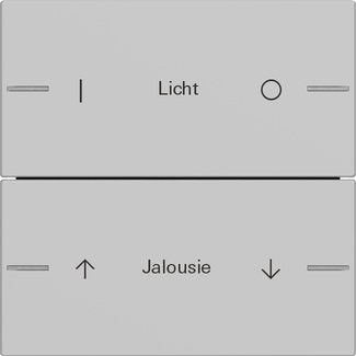 Gira - Bussystem-Tastwippe Wippenset 2-fach indiv. 5762015 Tastsensor Grau