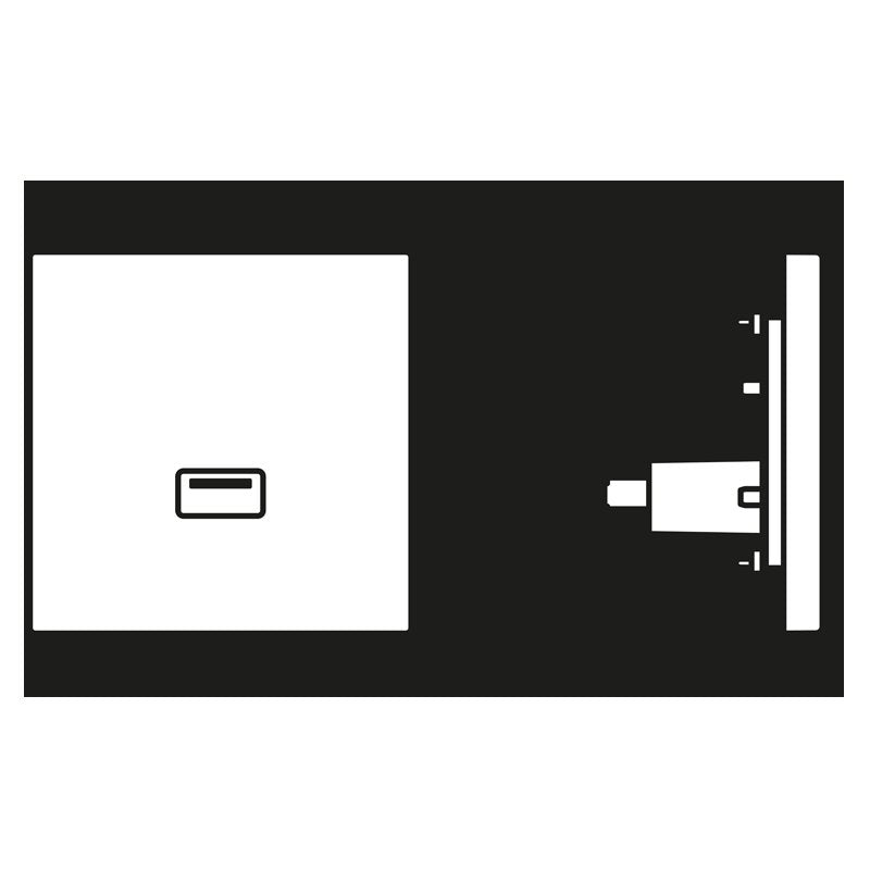 Jung - Multifunktions-Anschlussdose Multimedia-Anschluss eds MA ES 1122 USB m.Tragring