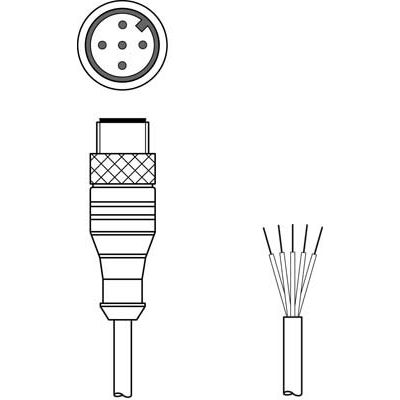 Leuze - Konfektioniertes Sensor-Aktor-Kabel Anschlussleitung KS S-M12-5A-P1-050