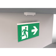 RP-Technik - Sicherheitsleuchte LED-Rettungszeichenleuchte AGDC403WL EB 3h, Wireless
