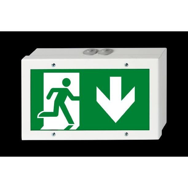H1 - Sicherheitsleuchte Rettungszeichenleuchte Bouncer L CBS-T