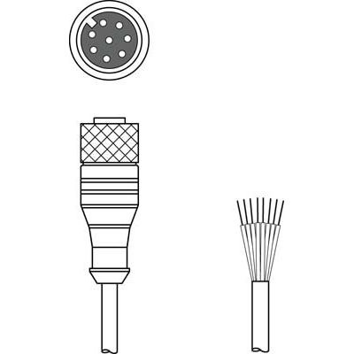 Leuze - Konfektioniertes Sensor-Aktor-Kabel Anschlussleitung KD S-M12-8A-P1-150 − 1 Stück