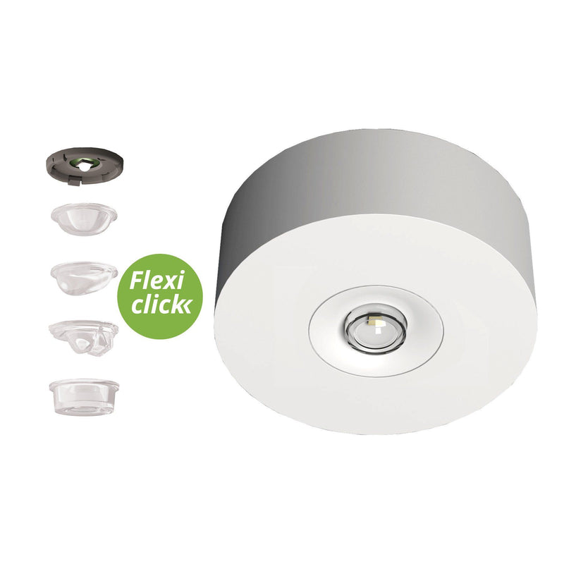 RP-Technik - Sicherheitsleuchte EARL529CC