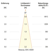 EVN Lichttechnik - Downlight/Strahler/Flutlicht LED-Schienenstrahler CT350125