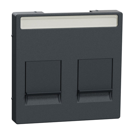 Merten - Einsatz/Abdeckung für Kommunikationstechnik Zentralplatte 2f.anth MEG4564-0414 f.Mod.Jack Schr.feld