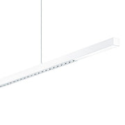 Zumtobel Group - Pendelleuchte LED-Pendelleuchte LINETIK #42950955 830, ws